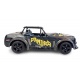 AmewiI RC auto Drift Sports Car Panther Pro 1:16