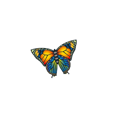 Günther drak Butterfly