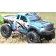 Amewi RC auto Dirt Climbing Pickup Race Crawler 1:10 Modrý