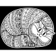 Colorvelvet Sametový obrázek Kočka 2 21x29,7cm 