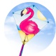 Invento drak Eddy Flamingo