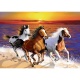 Wooden City dřevěné puzzle - Divocí koně a pláži XL
