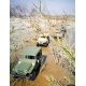 Amewi RC americký jeep M151 1:14 zelená