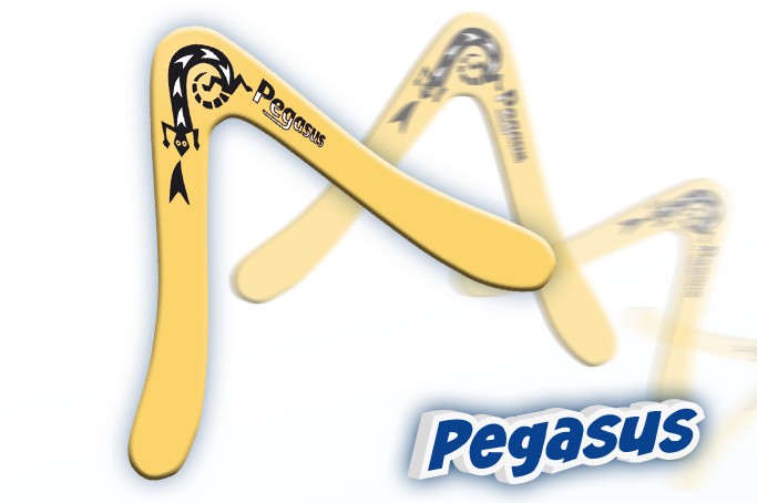 Bumerang PEGASUS polypropylen