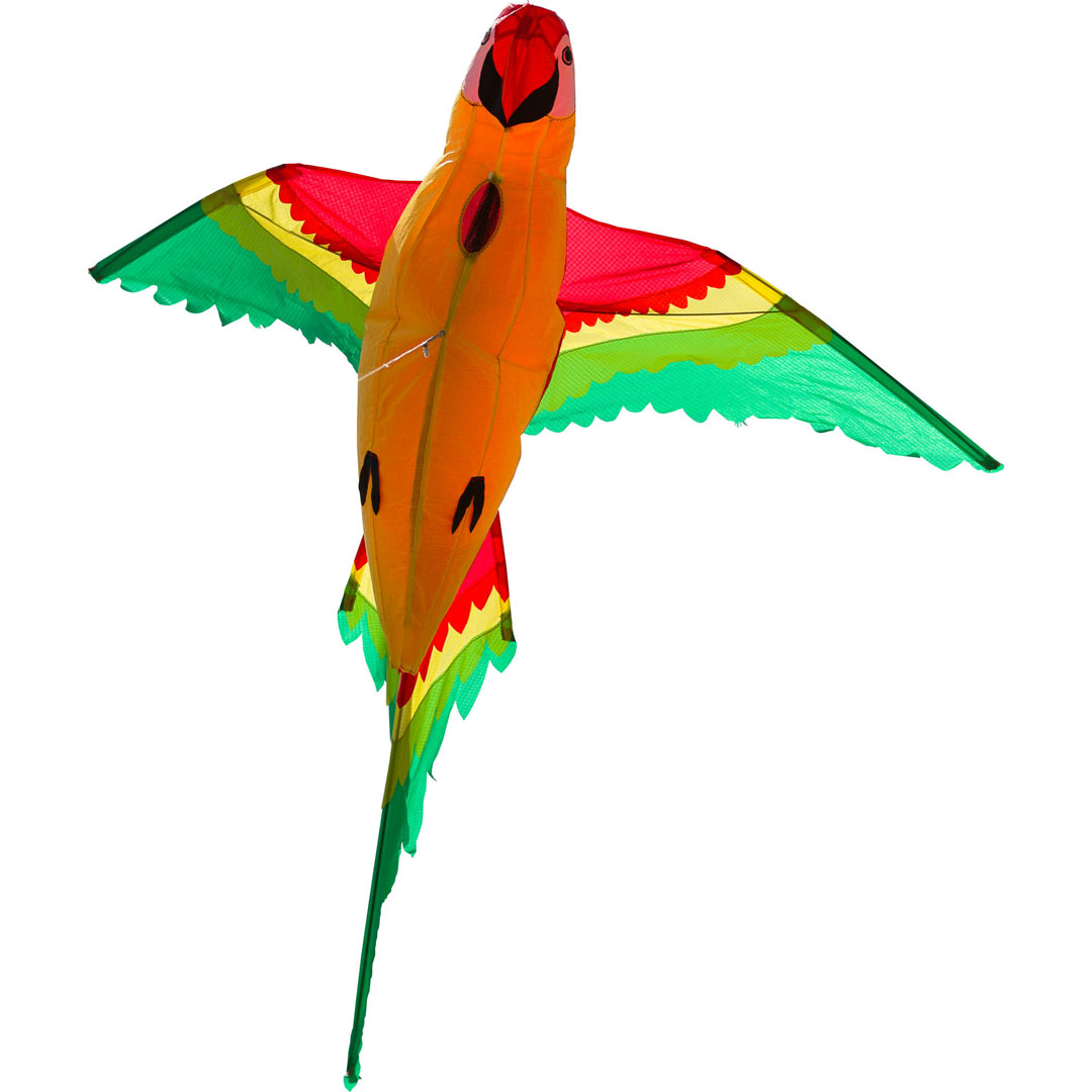 Papoušek 3D drak 118x110 cm